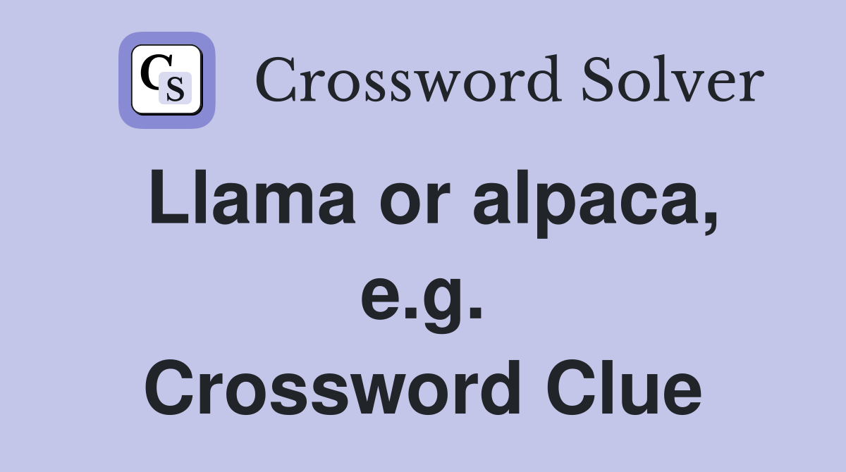Llama or alpaca, e.g. Crossword Clue