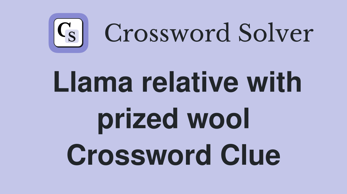 Llama relative with prized wool Crossword Clue
