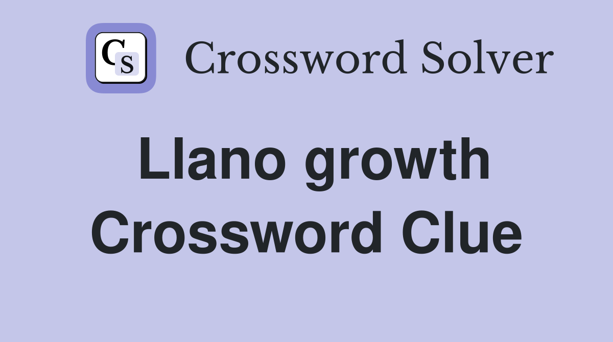 Llano growth Crossword Clue