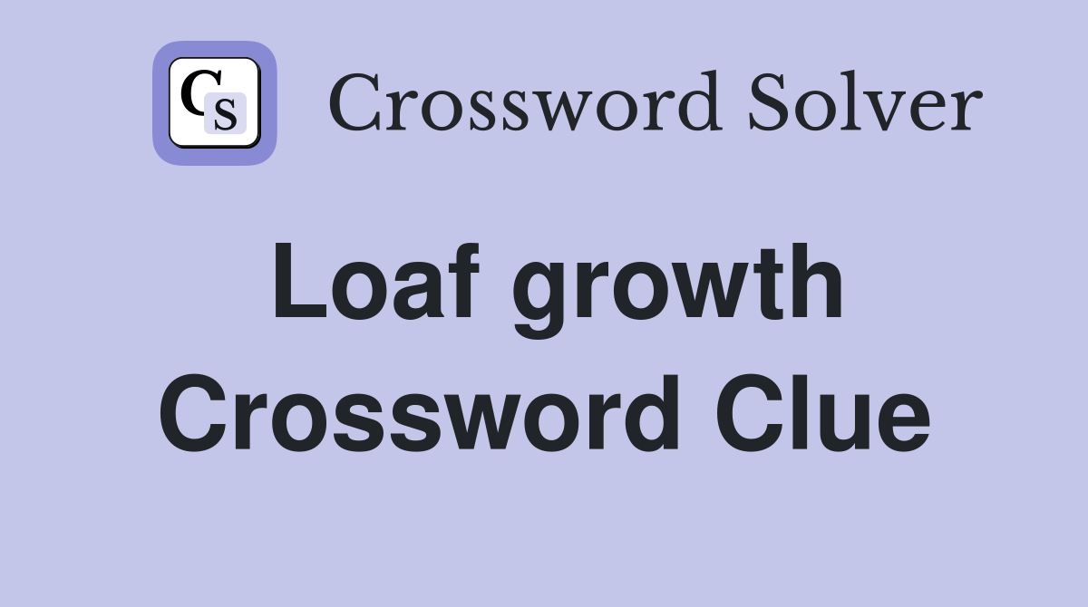 Loaf growth Crossword Clue