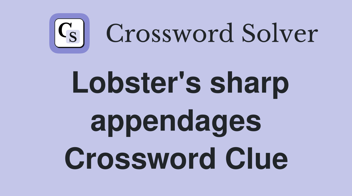 Lobster's sharp appendages Crossword Clue