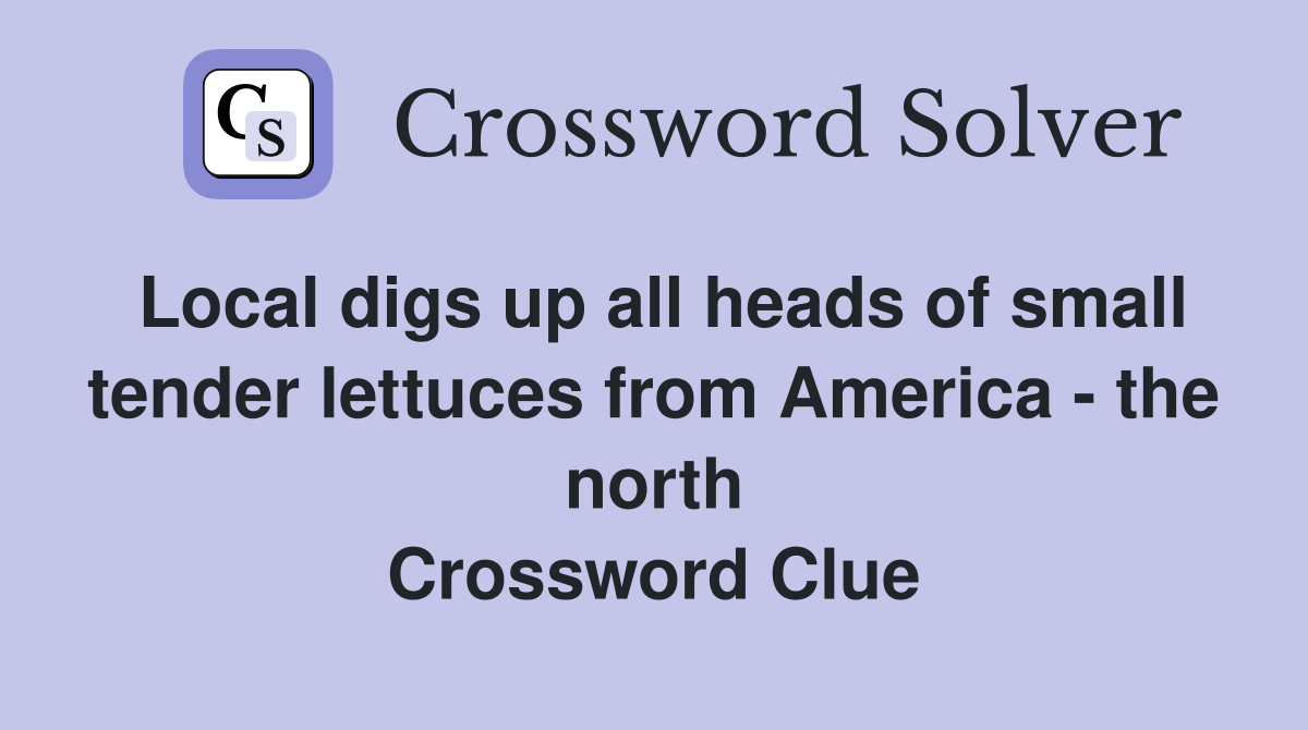 Local digs up all heads of small tender lettuces from America - the north Crossword Clue