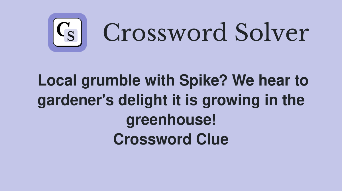 Local grumble with Spike? We hear to gardener's delight it is growing in the greenhouse! Crossword Clue