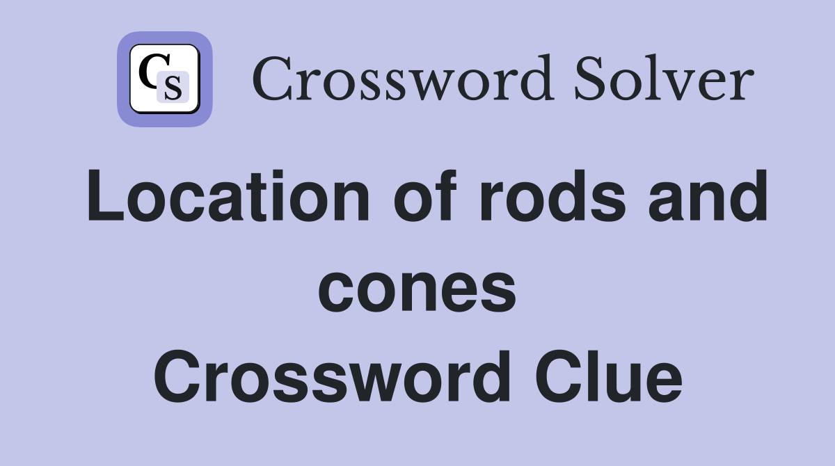 Location of rods and cones Crossword Clue
