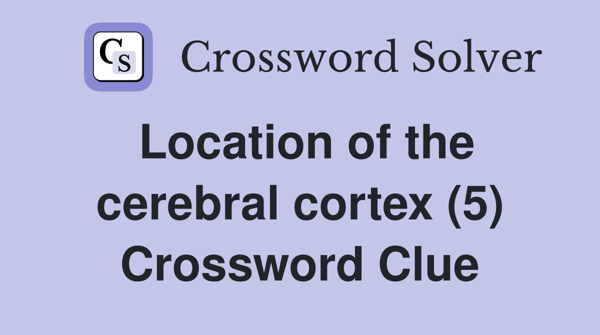 Location of the cerebral cortex (5) Crossword Clue