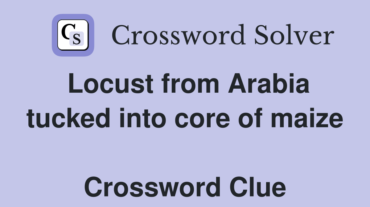 Locust from Arabia tucked into core of maize  Crossword Clue