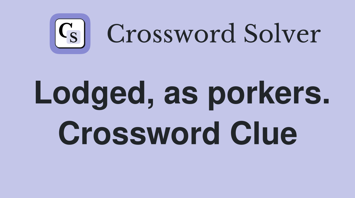 Lodged, as porkers. Crossword Clue