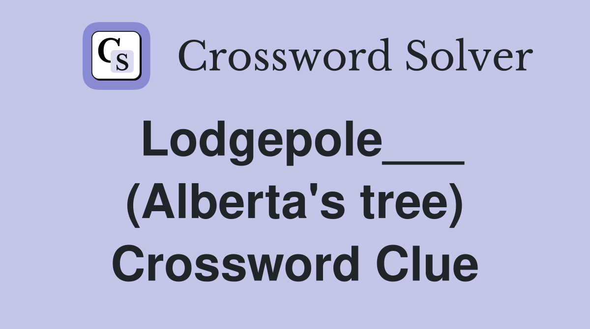 Lodgepole___ (Alberta's tree) Crossword Clue