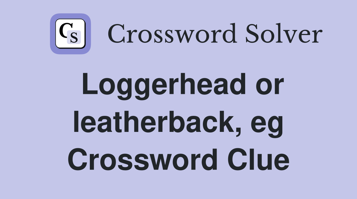 Loggerhead or leatherback, eg Crossword Clue