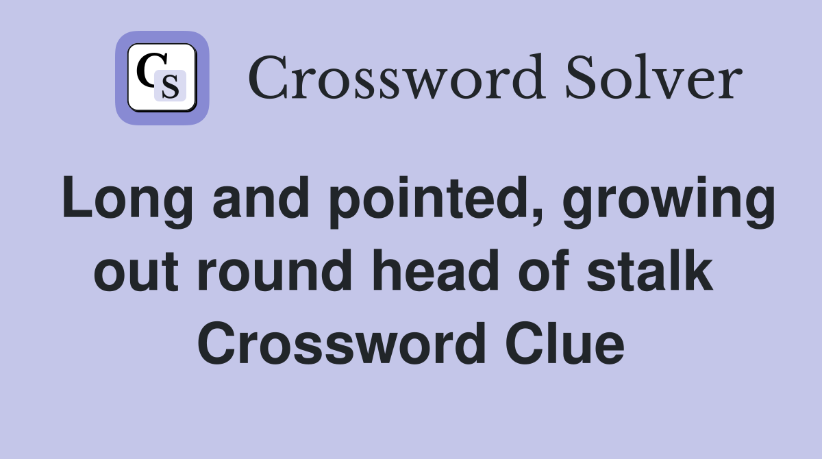 Long and pointed, growing out round head of stalk  Crossword Clue