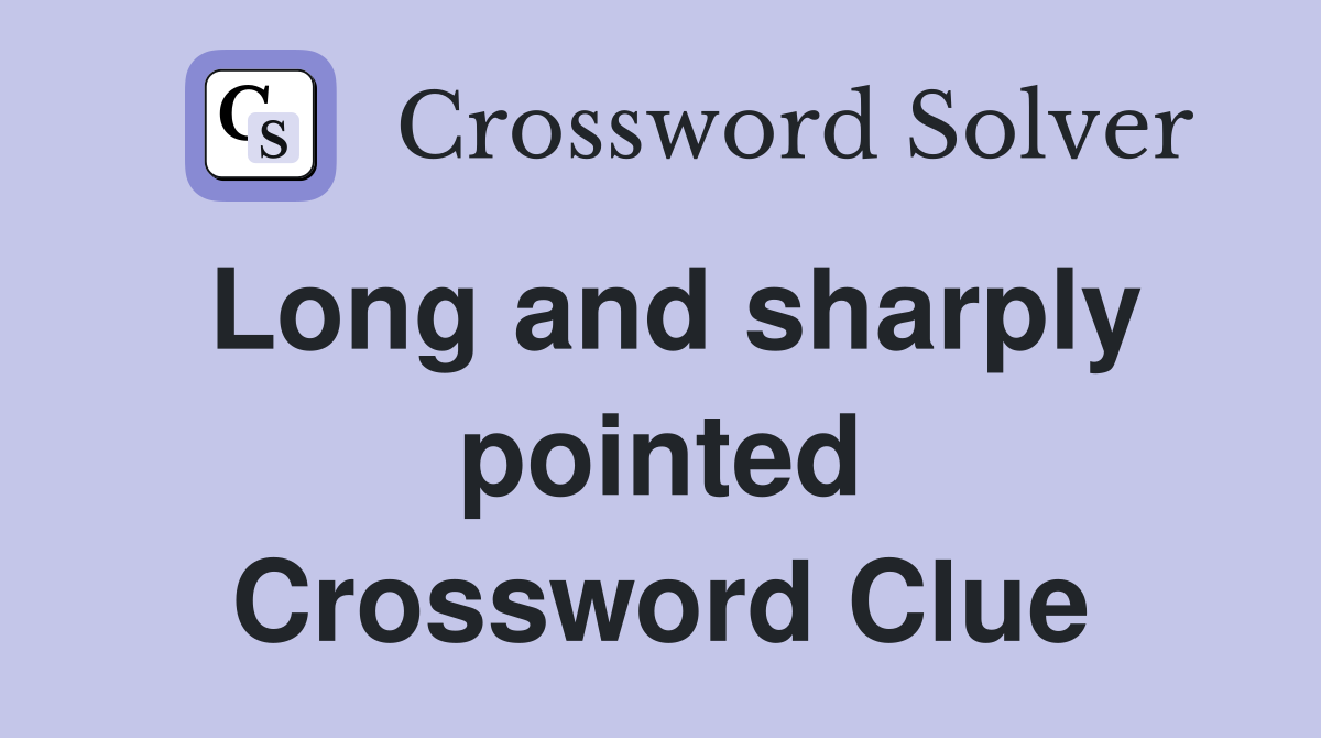 Long and sharply pointed Crossword Clue