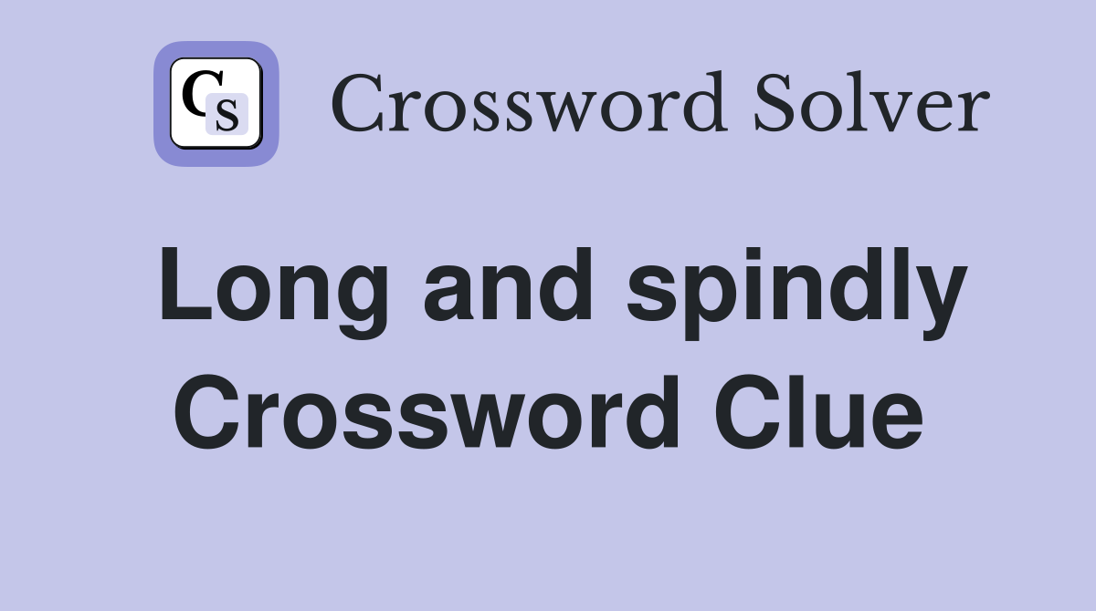 Long and spindly Crossword Clue