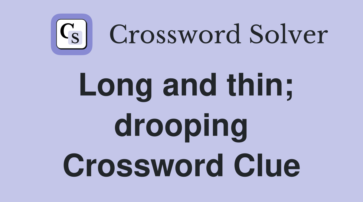Long and thin; drooping Crossword Clue