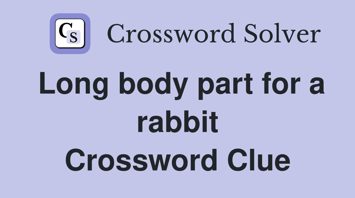 Long body part for a rabbit Crossword Clue
