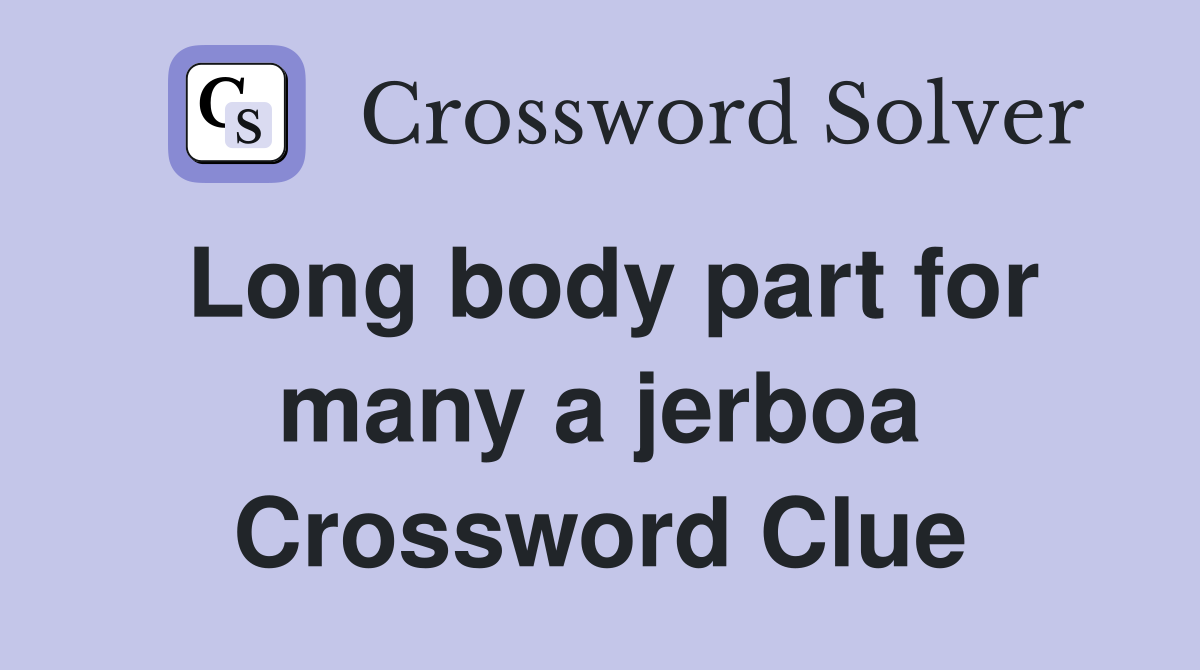 Long body part for many a jerboa Crossword Clue
