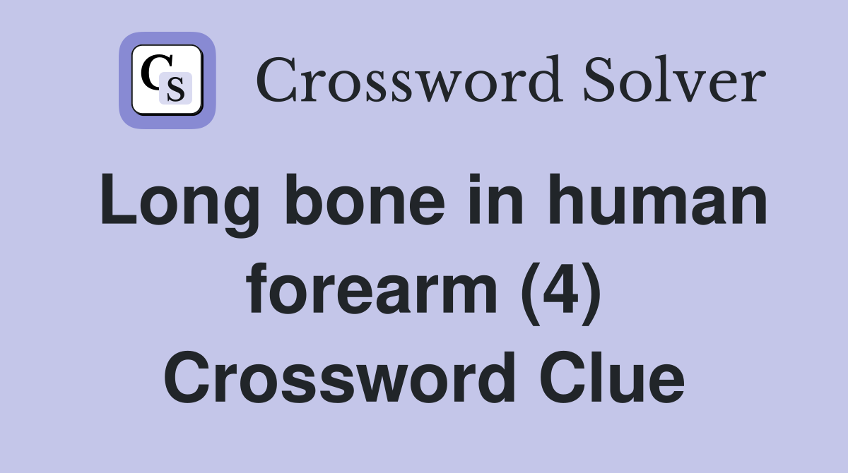 Long bone in human forearm (4) Crossword Clue