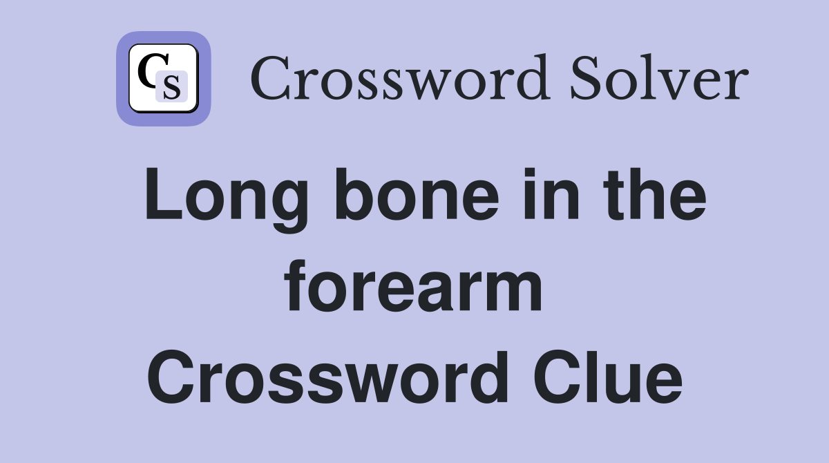 Long bone in the forearm Crossword Clue