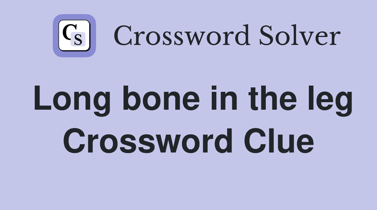 Long bone in the leg Crossword Clue