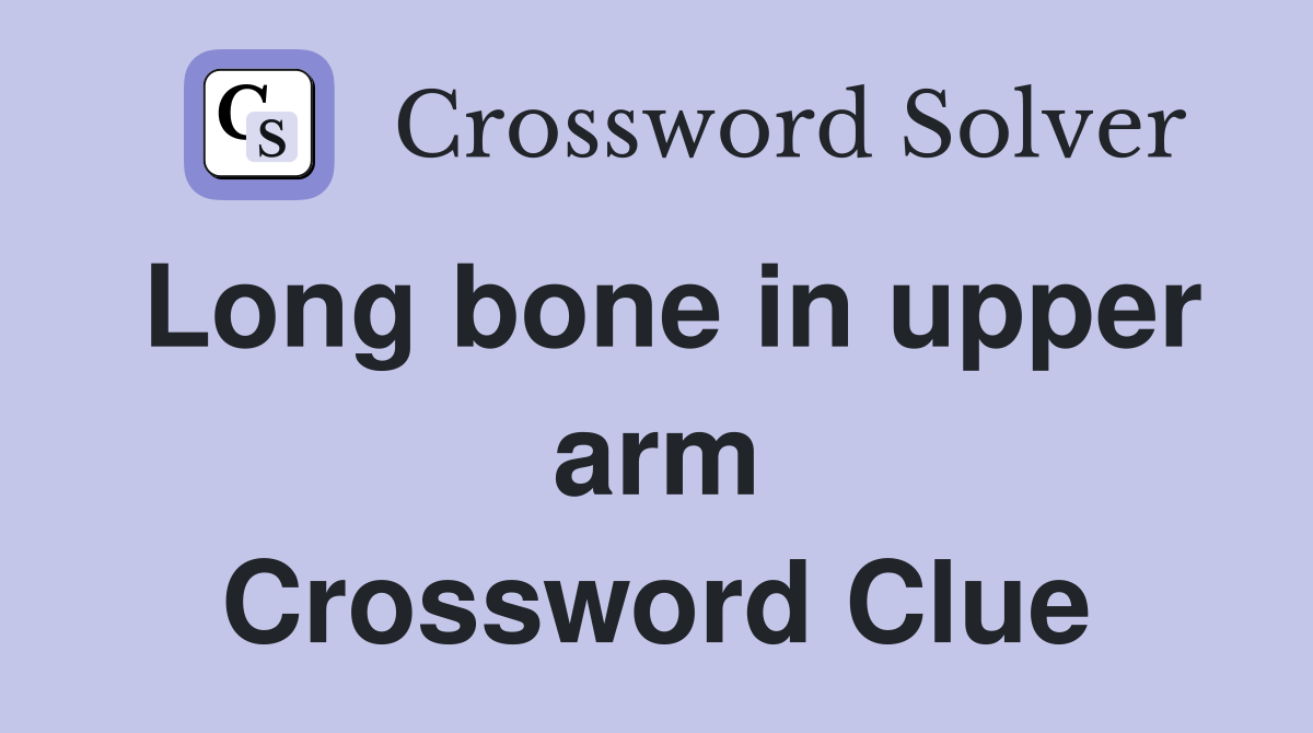 Long bone in upper arm Crossword Clue