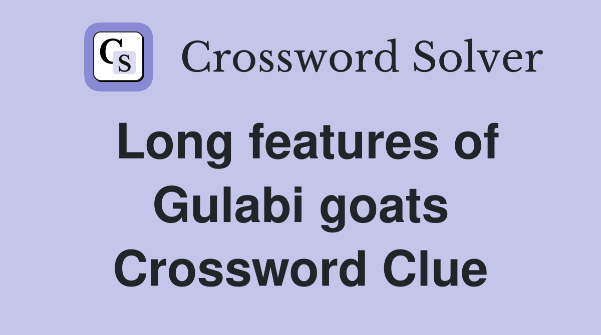 Long features of Gulabi goats Crossword Clue