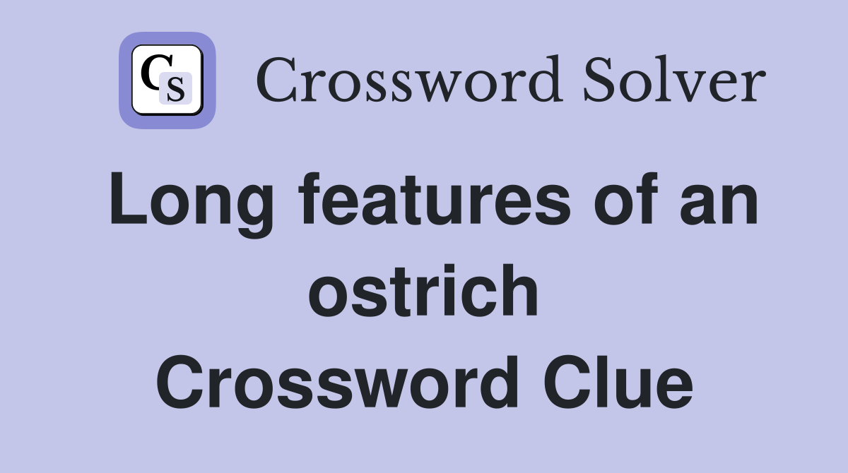 Long features of an ostrich Crossword Clue