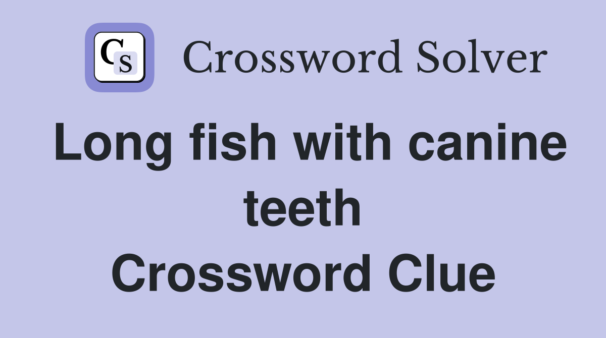 Long fish with canine teeth Crossword Clue
