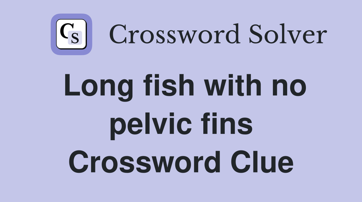 Long fish with no pelvic fins Crossword Clue
