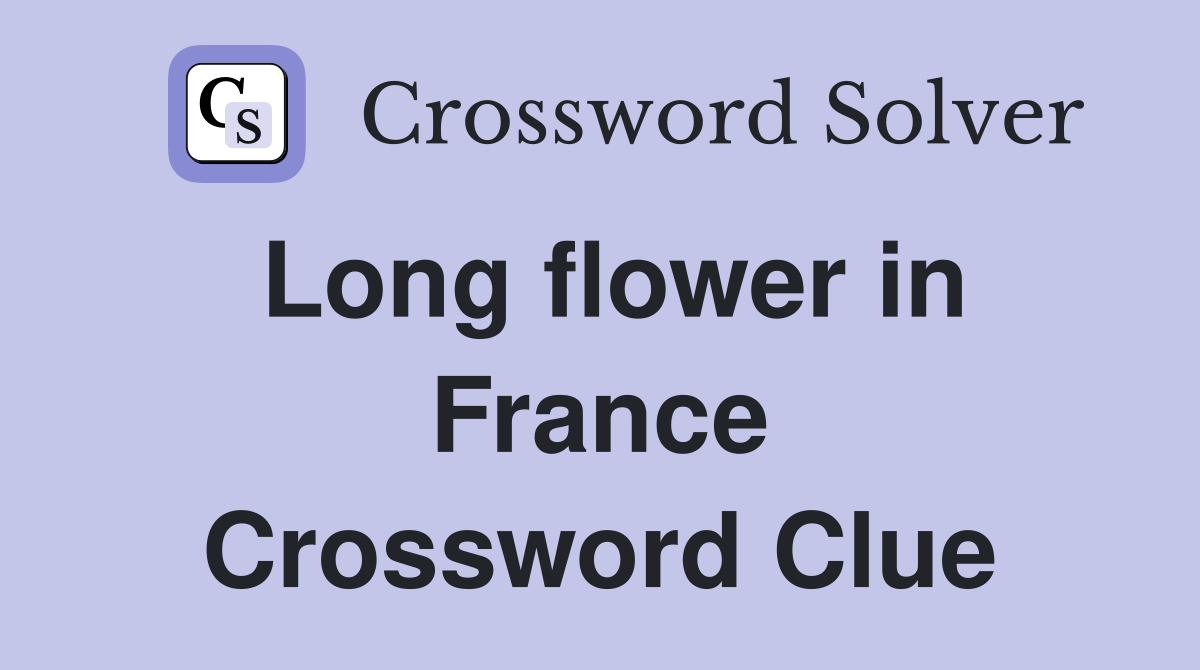 Long flower in France Crossword Clue