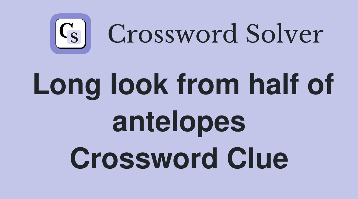 Long look from half of antelopes Crossword Clue