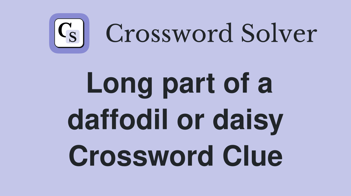Long part of a daffodil or daisy Crossword Clue