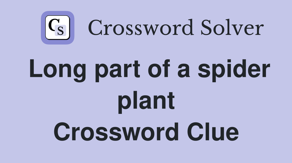 Long part of a spider plant Crossword Clue