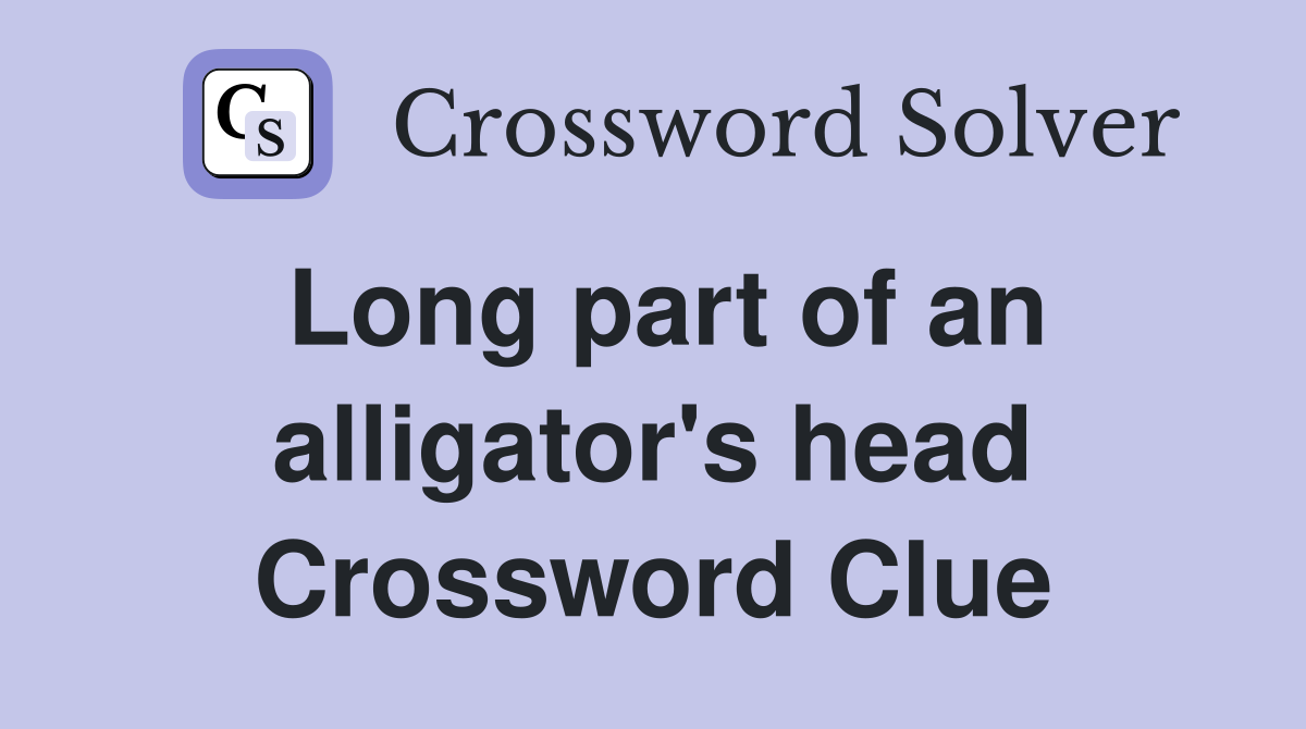 Long part of an alligator's head Crossword Clue