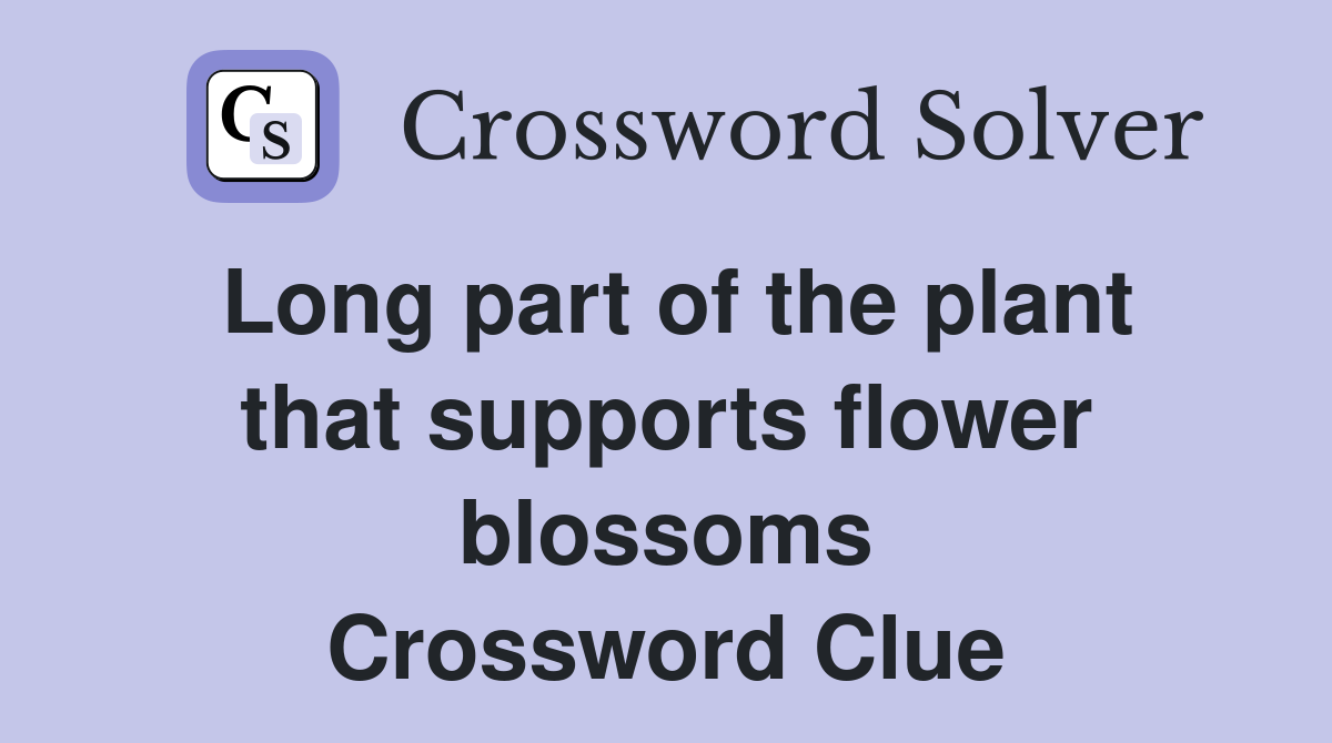 Long part of the plant that supports flower blossoms Crossword Clue