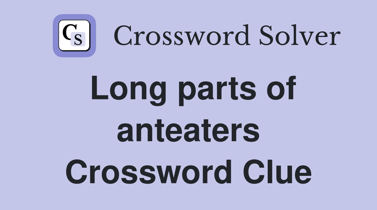 Long parts of anteaters Crossword Clue