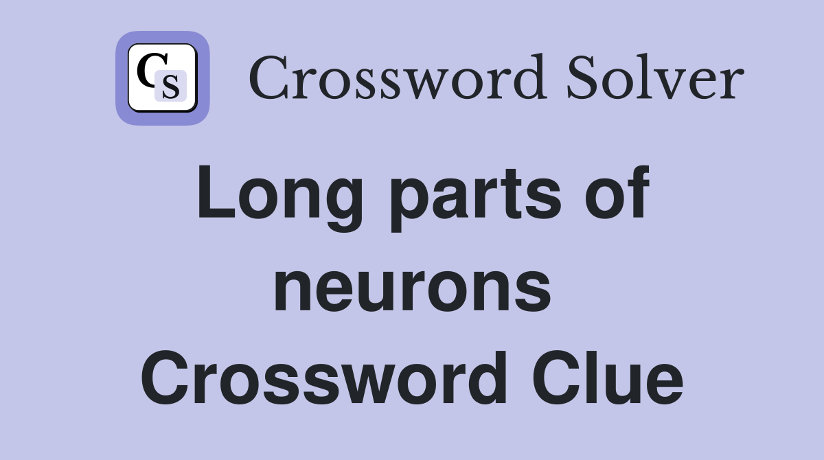 Long parts of neurons Crossword Clue