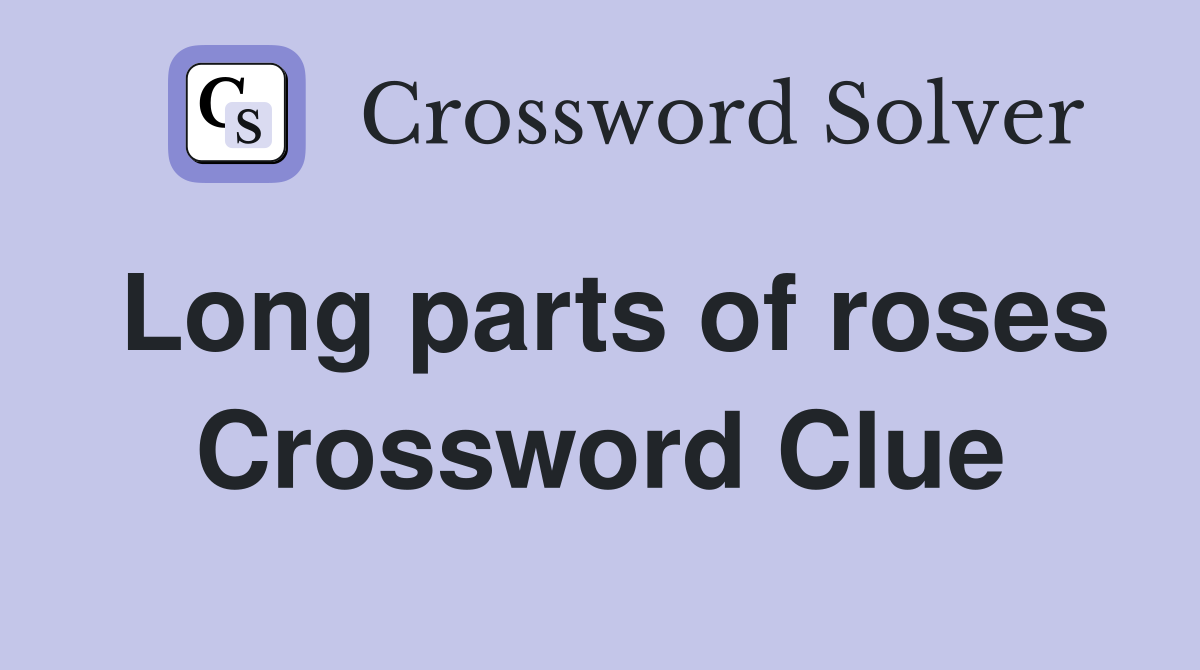 Long parts of roses Crossword Clue