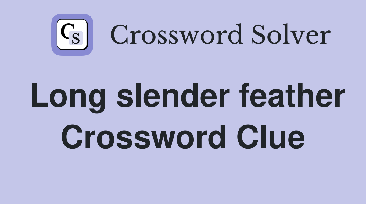 Long slender feather Crossword Clue