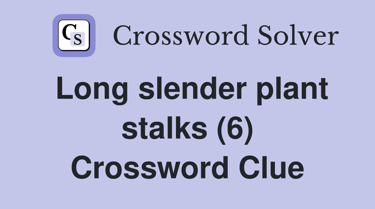 Long slender plant stalks (6) Crossword Clue