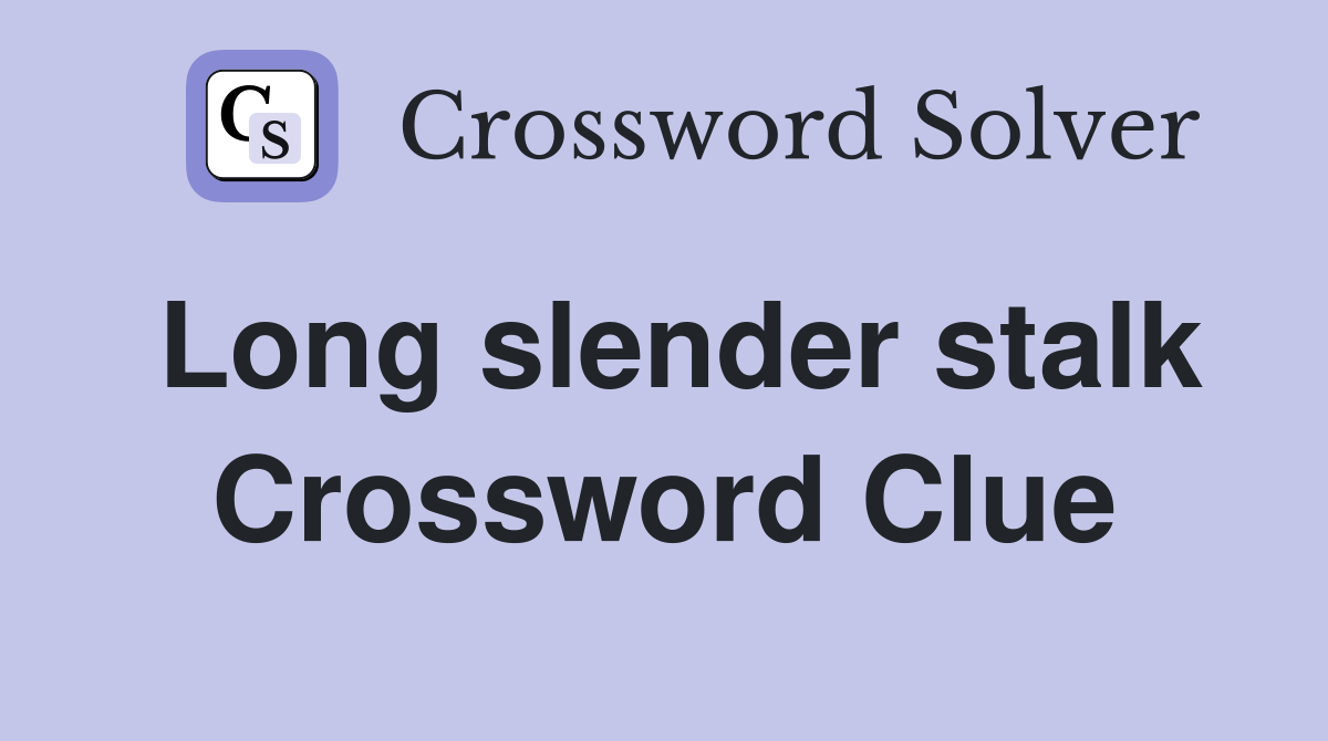 Long slender stalk Crossword Clue