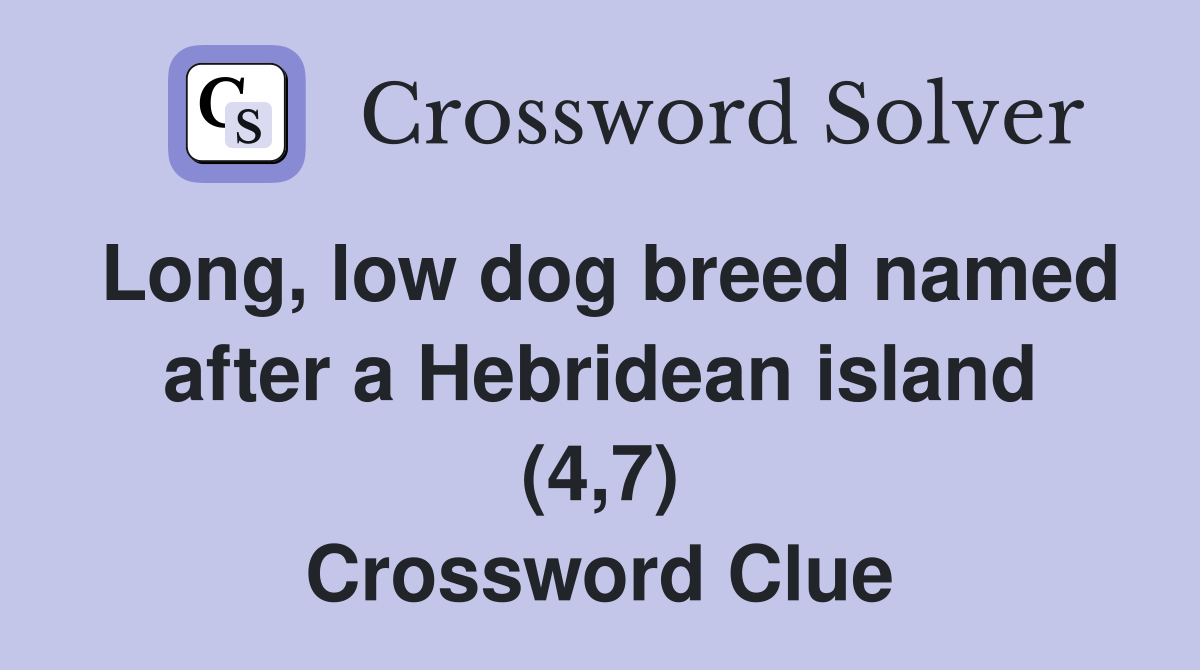 Long, low dog breed named after a Hebridean island (4,7) Crossword Clue