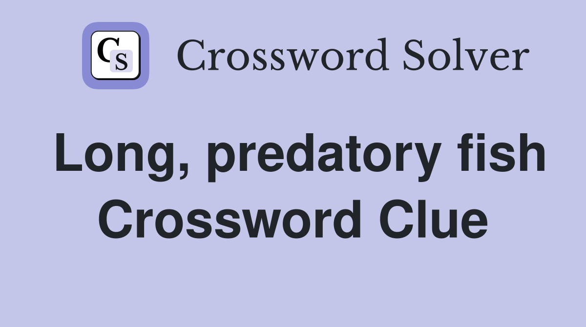 Long, predatory fish Crossword Clue