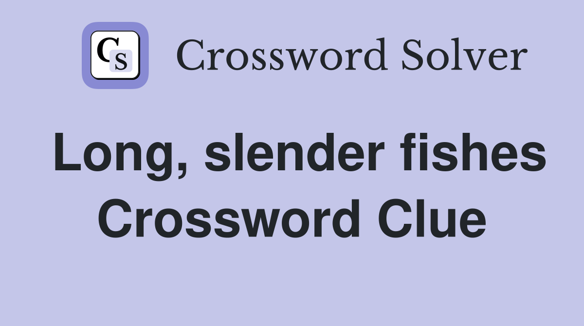 Long, slender fishes Crossword Clue