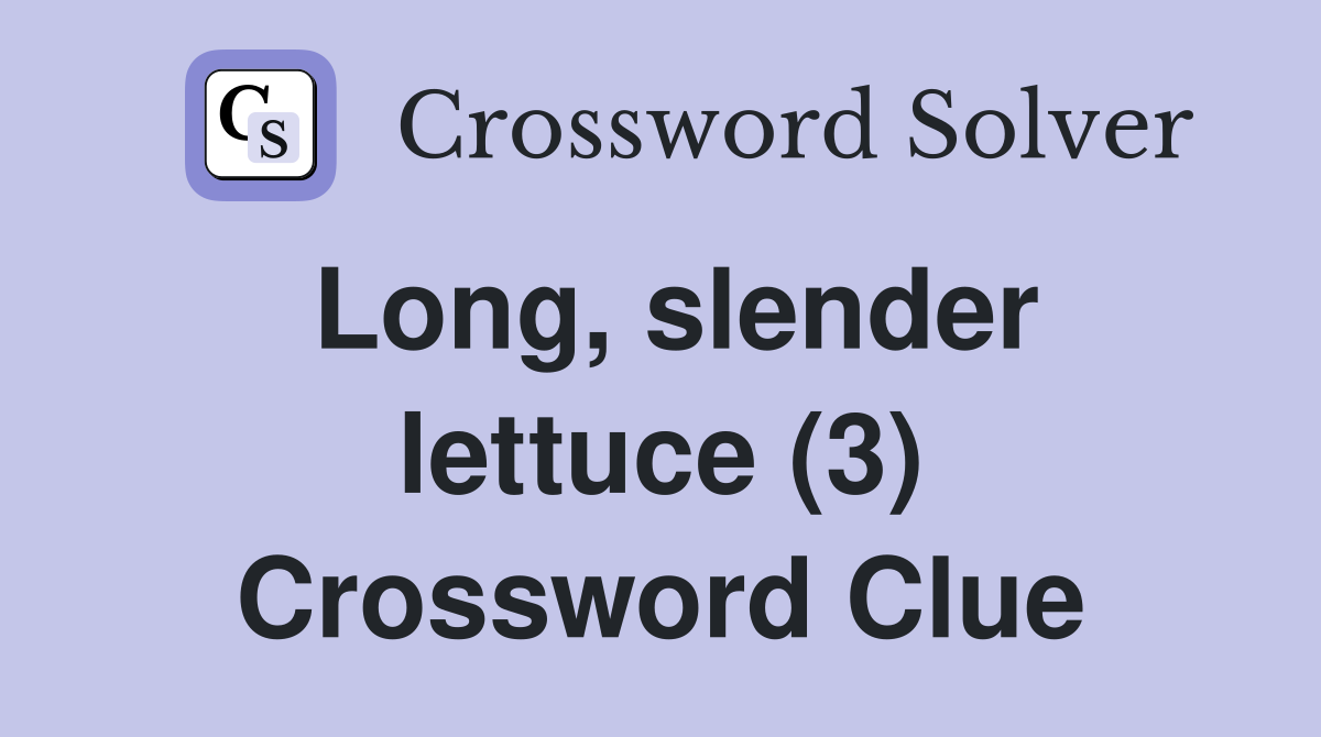 Long, slender lettuce (3) Crossword Clue
