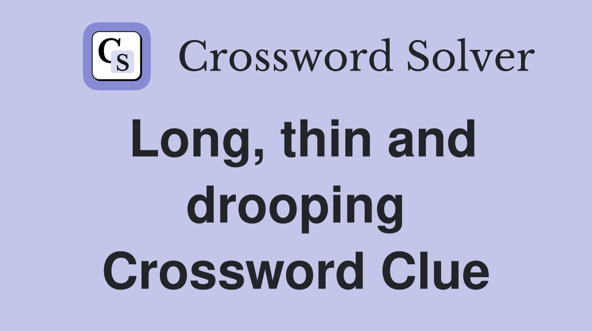 Long, thin and drooping Crossword Clue