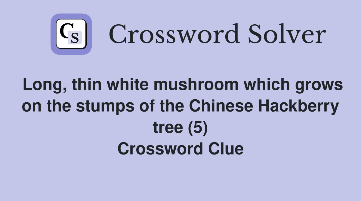 Long, thin white mushroom which grows on the stumps of the Chinese Hackberry tree (5) Crossword Clue