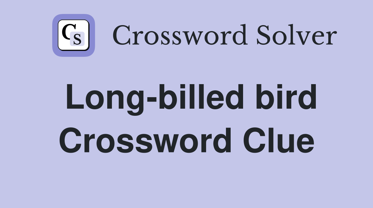 Long-billed bird Crossword Clue