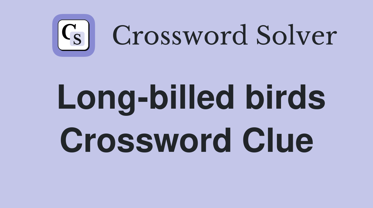 Long-billed birds Crossword Clue