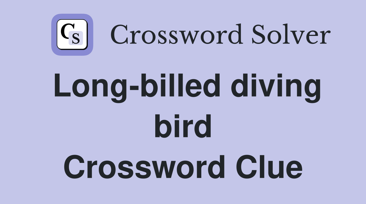 Long-billed diving bird Crossword Clue