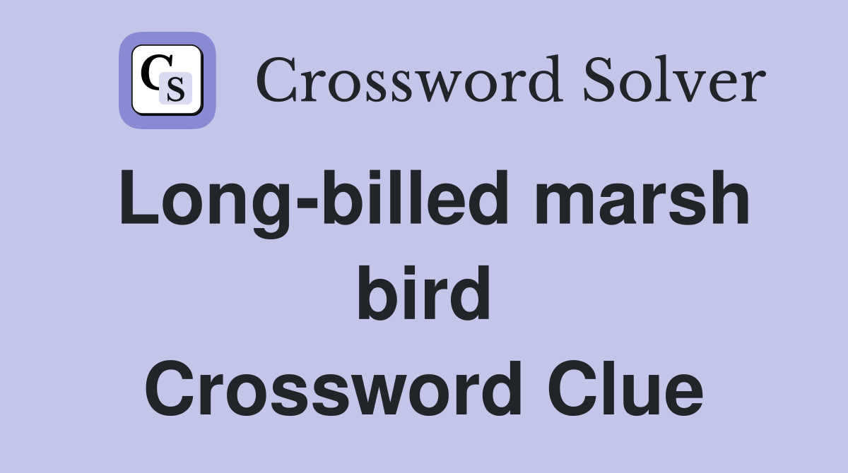 Long-billed marsh bird Crossword Clue
