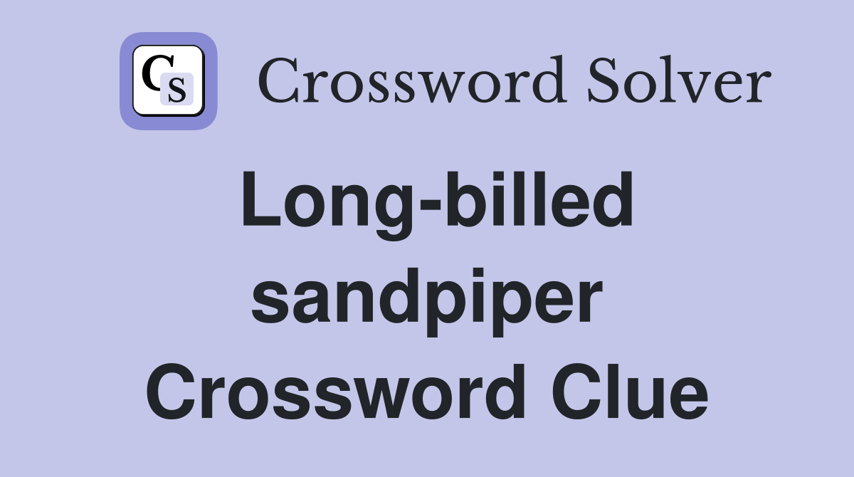 Long-billed sandpiper Crossword Clue